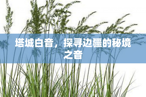 塔城白音，探寻边疆的秘境之音