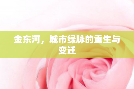 金东河，城市绿脉的重生与变迁