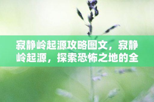 寂静岭起源攻略图文，寂静岭起源，探索恐怖之地的全面攻略