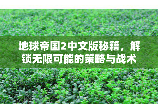 地球帝国2中文版秘籍，解锁无限可能的策略与战术
