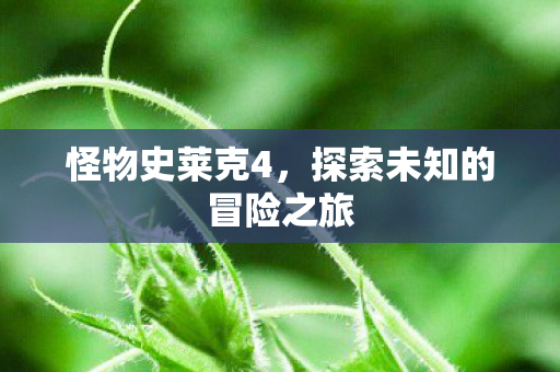 怪物史莱克4,探索未知的冒险之旅 怪物史莱克4,探索未知的冒险之旅
