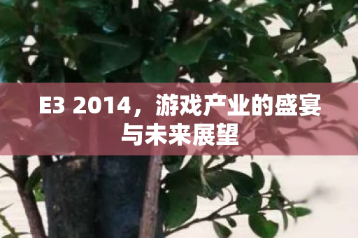E3 2014，游戏产业的盛宴与未来展望