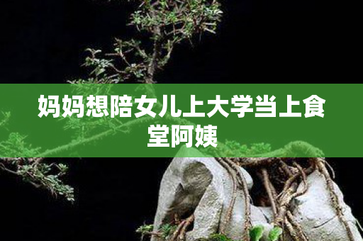 妈妈想陪女儿上大学当上食堂阿姨