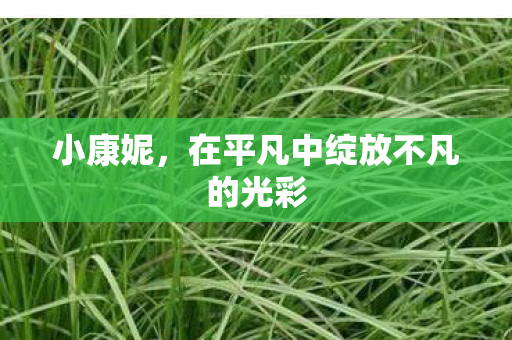 小康妮，在平凡中绽放不凡的光彩