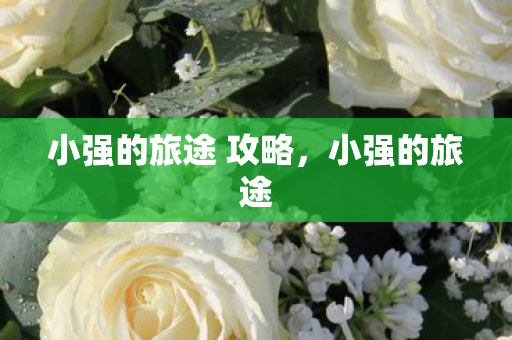 小强的旅途 攻略，小强的旅途