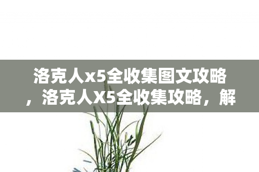 洛克人x5全收集图文攻略，洛克人X5全收集攻略，解锁隐藏要素，成为终极玩家