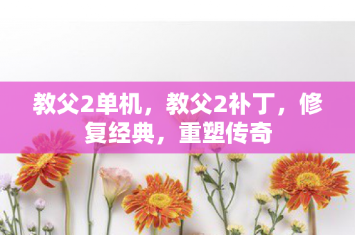 教父2单机，教父2补丁，修复经典，重塑传奇