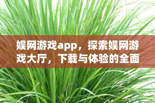 娱网游戏app，探索娱网游戏大厅，下载与体验的全面指南