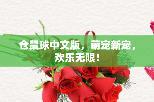 仓鼠球中文版，萌宠新宠，欢乐无限！