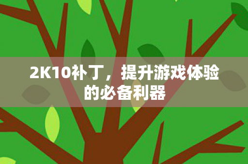 2K10补丁，提升游戏体验的必备利器