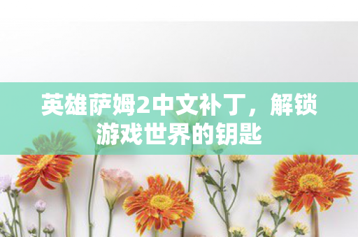 英雄萨姆2中文补丁，解锁游戏世界的钥匙