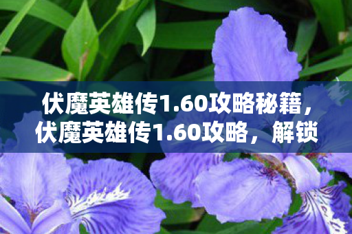 伏魔英雄传1.60攻略秘籍，伏魔英雄传1.60攻略，解锁传奇之路