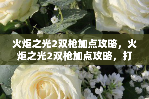 火炬之光2双枪加点攻略，火炬之光2双枪加点攻略，打造高效输出的射手