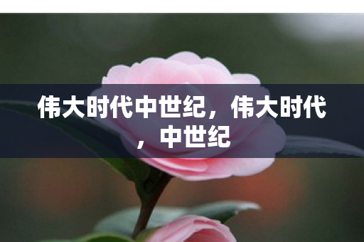 伟大时代中世纪，伟大时代，中世纪