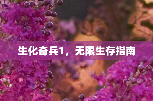 生化奇兵1，无限生存指南