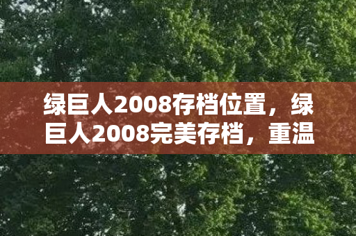 绿巨人2008存档位置，绿巨人2008完美存档，重温经典，重温回忆