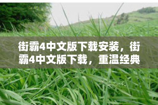 街霸4中文版下载安装，街霸4中文版下载，重温经典格斗游戏的魅力