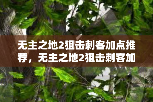无主之地2狙击刺客加点推荐，无主之地2狙击刺客加点攻略
