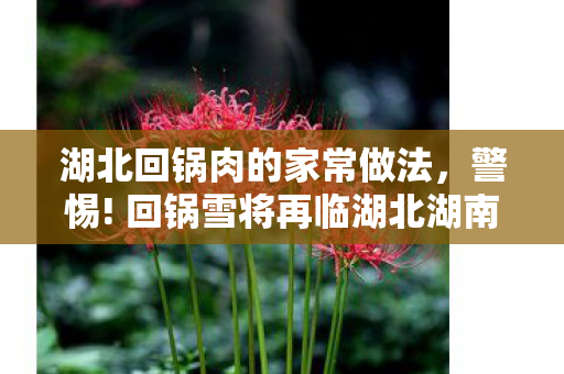 湖北回锅肉的家常做法，警惕! 回锅雪将再临湖北湖南