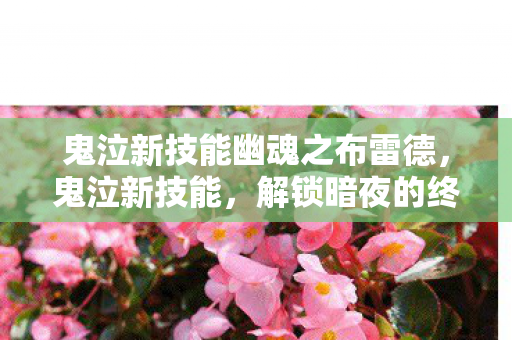 鬼泣新技能幽魂之布雷德图片