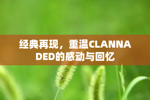 重温CLANNADED的感动与回忆图片