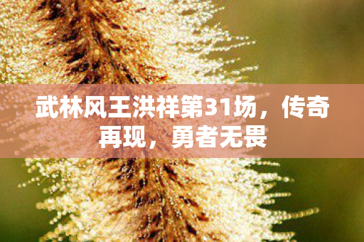 武林风王洪祥第31场，传奇再现，勇者无畏