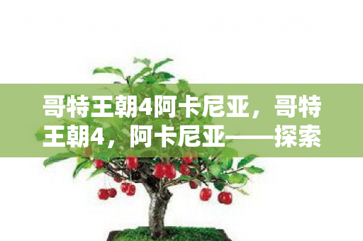 哥特王朝4阿卡尼亚，哥特王朝4，阿卡尼亚——探索神秘世界的奇幻之旅