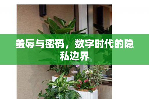 羞辱与密码，数字时代的隐私边界
