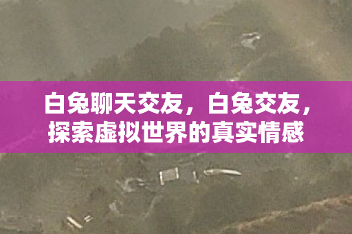 白兔聊天交友，白兔交友，探索虚拟世界的真实情感