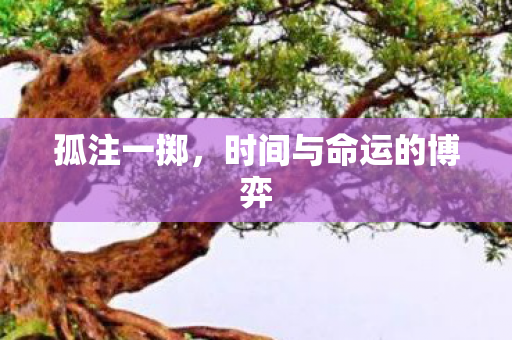 孤注一掷，时间与命运的博弈