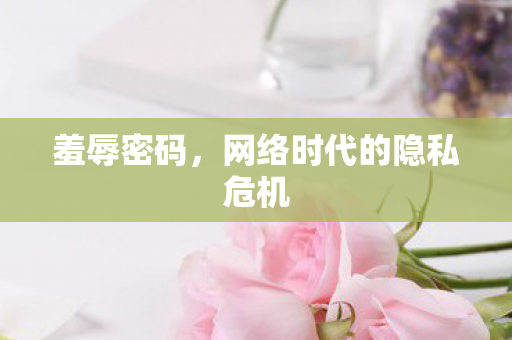 羞辱密码，网络时代的隐私危机