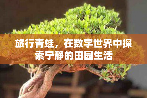 旅行青蛙，在数字世界中探索宁静的田园生活