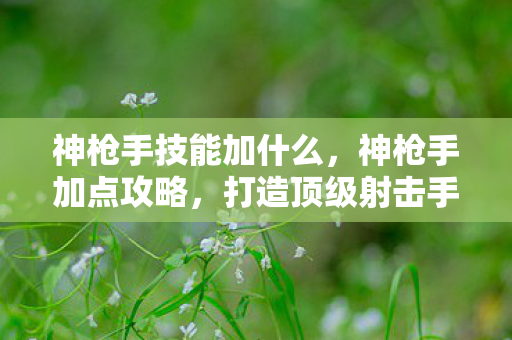 神枪手技能加什么，神枪手加点攻略，打造顶级射击手感