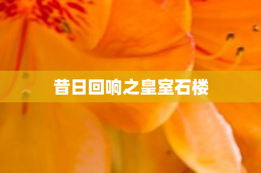 昔日回响之皇室石楼