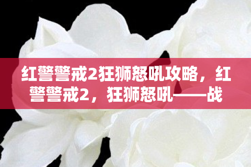 红警警戒2狂狮怒吼攻略，红警警戒2，狂狮怒吼——战火中的荣耀与牺牲