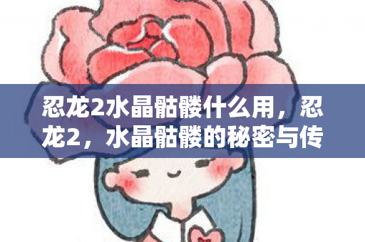 忍龙2水晶骷髅什么用，忍龙2，水晶骷髅的秘密与传奇
