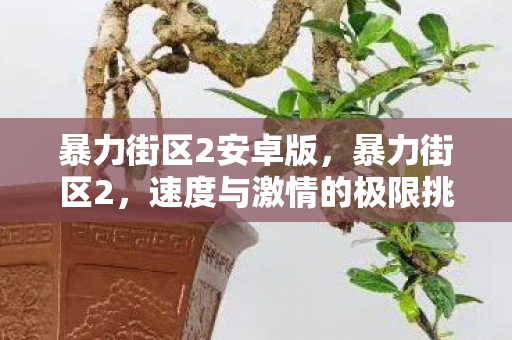 暴力街区2安卓版，暴力街区2，速度与激情的极限挑战