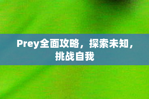 Prey全面攻略，探索未知，挑战自我