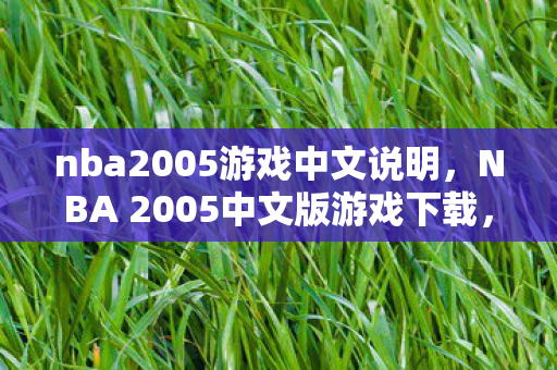 nba2005游戏中文说明，NBA 2005中文版游戏下载，重温经典篮球游戏的魅力