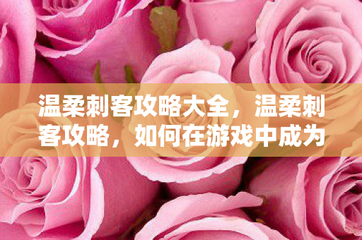 温柔刺客攻略大全，温柔刺客攻略，如何在游戏中成为最优雅的杀手