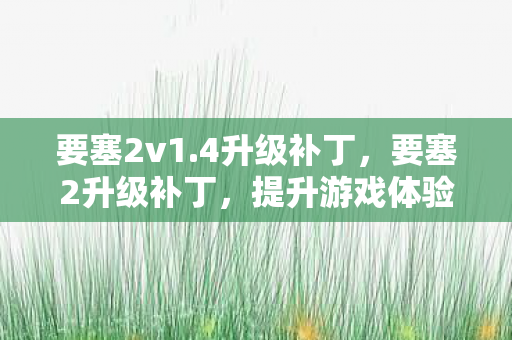 要塞2v1.4升级补丁，要塞2升级补丁，提升游戏体验的必备神器