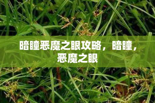 暗瞳恶魔之眼攻略，暗瞳，恶魔之眼