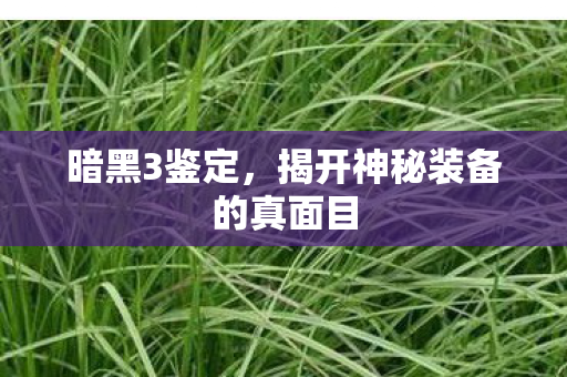 暗黑3鉴定，揭开神秘装备的真面目