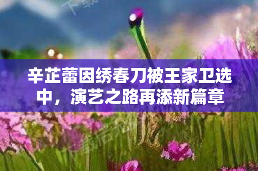 辛芷蕾因绣春刀被王家卫选中,演艺之路再添新篇章 辛芷蕾因绣春刀被王家卫选中,演艺之路再添新篇章