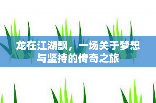 龙在江湖飘，一场关于梦想与坚持的传奇之旅