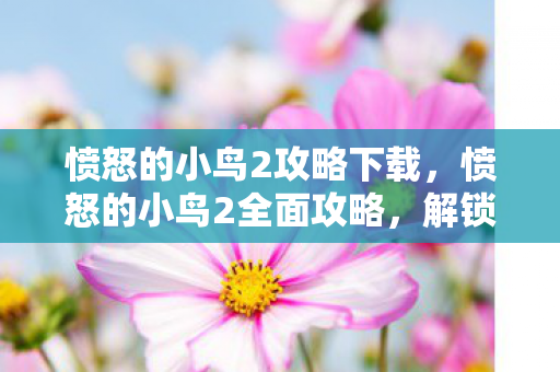 愤怒的小鸟2攻略下载，愤怒的小鸟2全面攻略，解锁新角色，掌握技巧，征服难关