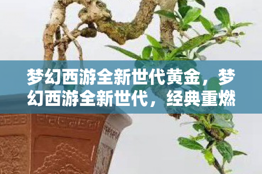 梦幻西游全新世代黄金，梦幻西游全新世代，经典重燃，再续前缘