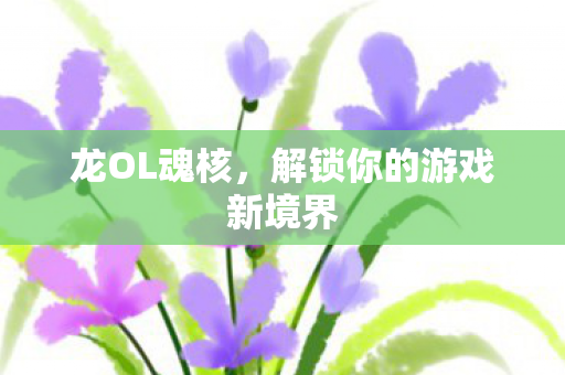龙OL魂核，解锁你的游戏新境界