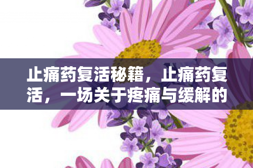 止痛药复活秘籍，止痛药复活，一场关于疼痛与缓解的医学奇迹