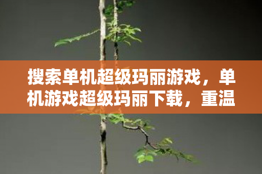 搜索单机超级玛丽游戏，单机游戏超级玛丽下载，重温经典，回忆童年